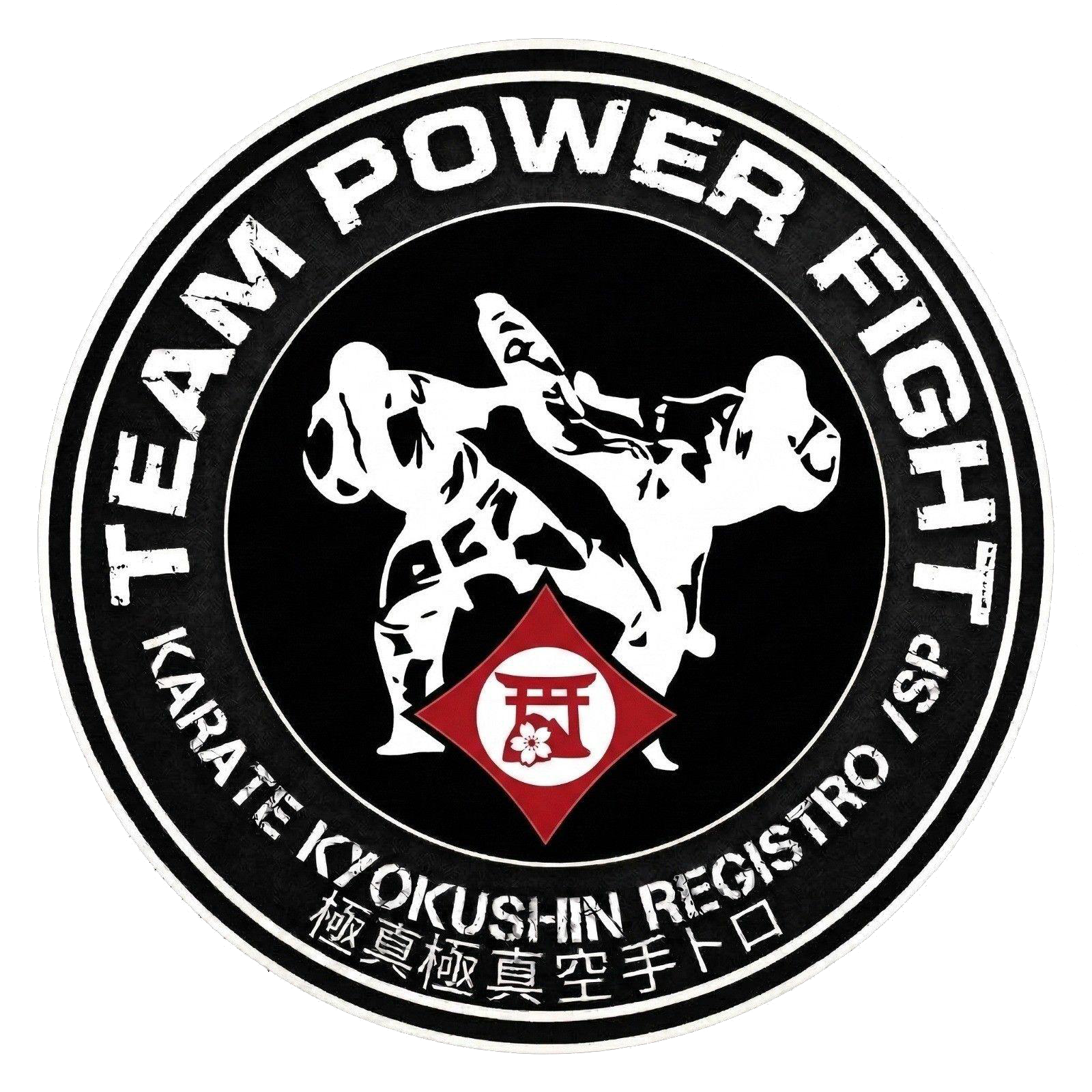 Logo Team