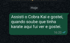 Captura de tela 2025-05-22 162541
